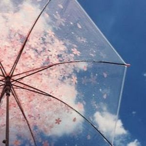 Meet your Posher, Ember